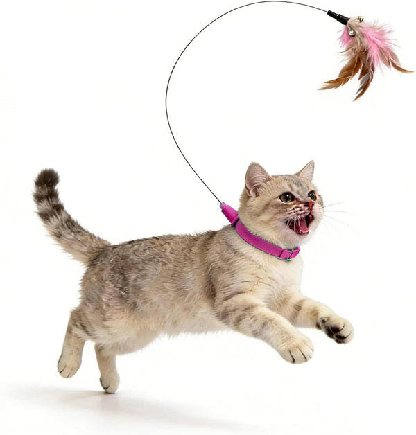 Interactive Cat Toy - Lightweight Collar Toy with Feathers