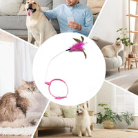 Interactive Cat Toy - Lightweight Collar Toy with Feathers