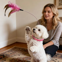 Interactive Cat Toy - Lightweight Collar Toy with Feathers